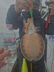 [먹물조황] 20일 팬텀호 조황