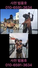 [사천] 사천 범용호 거센 바람에도 올라오는 돌 문어들~^^ (예약 받습…
