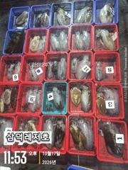 [통영] [팁런]k,k,무시급들 ,(토요일,출항 )