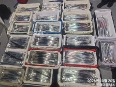 [진해] 우와~,내만칼치 3지4지까지씨알최고 용가리어마어마초대박~,금,토…