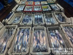 준내만갈치~3,4,5지까지 만만쿨~토요일한분펑구/일요일부터 예약가능합니다