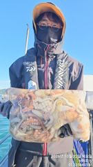 [통영] 통영서하호 22일 바람탱탱에도 평균 800그랑 이상으로 만선