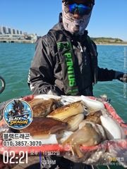 [사천] 10/22 블랙드래곤 갑오징어 꾸준히 ^^