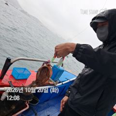 [사천] 10윌 24일 돌문어 7자리여유, 예약 받습니다