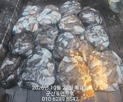 2026.10.22 군산 포인트호 찰갑118수장원!!