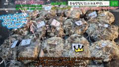 10월22일 홍원항힐링호 쭈갑낚 조황~!(내일 1자리여유)어제 바람으로 오전엔 이삭줍기..그래도 물좀 가라앉으니 애들괜찮네요.갑이쌍걸 2히트 ㅋㅋ 장원4kg오바~수고들 많으셨습니다.