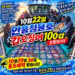 10월22일 안흥청용호 100갑 조황입니다