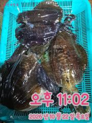10/22 조황