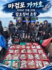 20일 갑오징어 조황