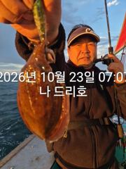 23일, 군산 갑오징어~신발짝 갑돌이~오늘도 나오네요~실시간~내일도 갑니다~군산낚시프라자 나드리호