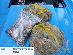 [사천] 삼천포 문어낚시 내일 출조합니다!! 5자리 예약 가능 사진