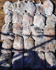 10월23일 군산 홈런호 주간 문어 마무리 조황 입니다. 승선하…