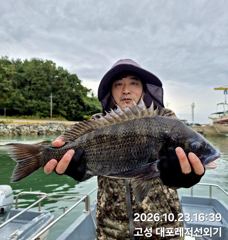 3시간전 [진해] 10/23문어 강풍에도 대물 숨은곳 적중! 장원 11수 4.88키로(토ㆍ일/예약가능)