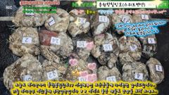 10월23일 홍원항힐링호 쭈갑 조황~!사이즈 좋은 애들로 손맛들 보고 가셨습니다~좋와지는 조황에 바다에 감사한 하루였네요^^장원 6.7kg~2등6.5kg~다들 비슷비슷하네요 ㅎㅎ