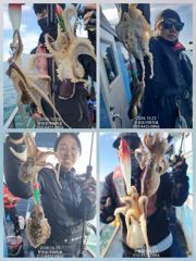 [무창포아파치호] 10월23일(금), 쭈갑 병행출조, 멀리 씨알 굵은 말쭈꾸미와 갑오징어들로 손맛보고 왔습니다~ㅎ 다음주 26일(월)부터 자리여유, 전화주세요~ 010-8422-0866