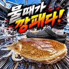 [팀바이트호] 10월23일 갑오징어 낚시