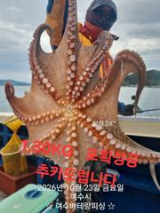 [여수,광양] 오늘도 대물돌문어 쭉쭉 뽑고 있습니다 1.87K등 가을…