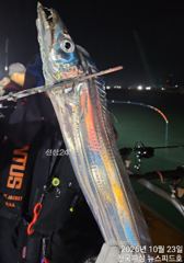 [진해] 준내만수요일부터달립니다예약가능