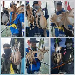[무창포아파치호]10월24일(토),쭈갑병행출조로손맛보고왔습니다~ㅎ다음주26일(월)부터자리여유,전화주세요~010-8422-0866