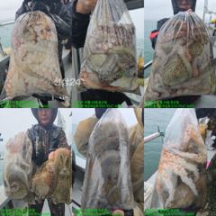 24일)문어조황, 25일(일): 문어(원도권) 잔여자리 있습니다.
