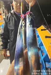 준내만수요일부터달립니다예약가능