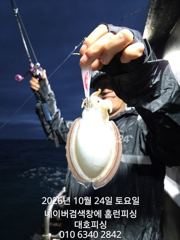 군산 대호피싱 10월24일 갑오징어 나왔습니다 현제 엄청나게 나오네요