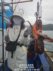 통영 송현호))실시간 돌문어 킬로오버 킬로급들 연타로 히트! 사진