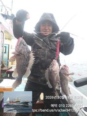 24일, 가을 먼침선,어초~개우럭~날이면 날마다 굿굿~ 연이은 대박 쿨러 굿굿조황~군산낚시프라자 하이원호