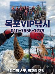 [목포VIP호] 10월24일 왕쭈꾸+왕갑오징어 조황정보!