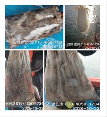 광진호,왕쭈 장원122수{선비,할인} 31일 2자리여유 예약중