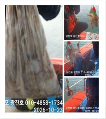 [사천] 왕쭈 장원122수 {선비,할인} 31일 2자리여유 예약중