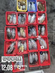 [팁런] 날씨좋은,수요일,대물사냥 갑니다(수요일,출항확정)