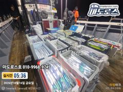 초보자도 스근하게 잡고 간자리 수목금 토 나가봅시다 !