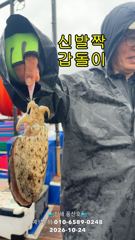 [진해] 쭈꾸미&갑돌이~마릿수 쭉쭉 올라오네요~(예약가능합니다)