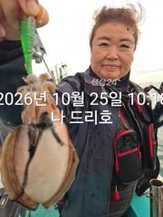 25일, 군산 갑오징어~싸이즈도 굿~많이 나오네요~연속되는 갑오징어~망탱이 대박~~내일도 갑니다~군산낚시프라자 나드리호