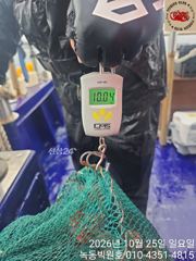 10월25일 크라켄조황입니다