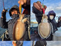 크라운호 갑오징어 실시간조황(26일)