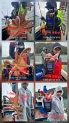 대물돌문어 키로급들 많이 나오고 있습니다 목요일 8자리여유…