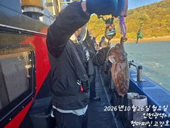 [ 고강호 ] 10월 26일 [ 인천 갑오징어 + 주꾸미 조황 ~!! ] [ 인천배낚시 청마피싱 / 인천선상낚시 / 인천낚시배 ]