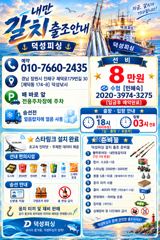 [25일입항] "내만갈치" 폭우속에 빵빵한 갈치들 신나게 담았네요 ~