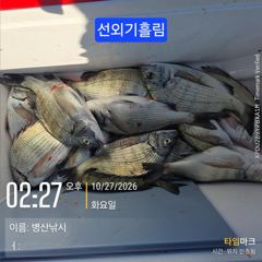 병산 감성돔 마리수 선외기흘림조황~~
