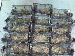 27일야간문어대박~장원23수씨알급으로 먹폭탄( 목,금,토~야간예약중)