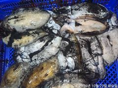 갑돌이퍽~퍽21수17수16수외마릿수굿~굿손맛짱!!!