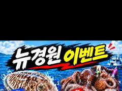금요일 쭈꾸미 출조확정 9자리여유 다음주도 자리여유