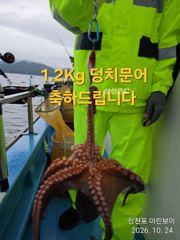 [사천] 삼천포 마린보이 10. 29. 목요일부터 가을문어 주간/야간 뜯…