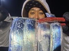 [진해] 와.28일새벽,내만칼치3지4지용가리대박~엄청나게잡고쿨러가득.목욜…
