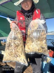 [사천] 금요일 쭈꾸미 출조확정 9자리여유 다음주 자리여유 많습니다