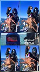 통영] 문어 사량도 굴어장 조황 28일(수) 통영 메티스호 사진