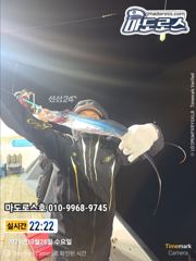 실시간 사이즈좋고 내일 날도좋아요
