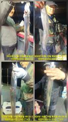 대마골 28일 텐빈 조황 예민한 입질에도 쿨러채우셨네요